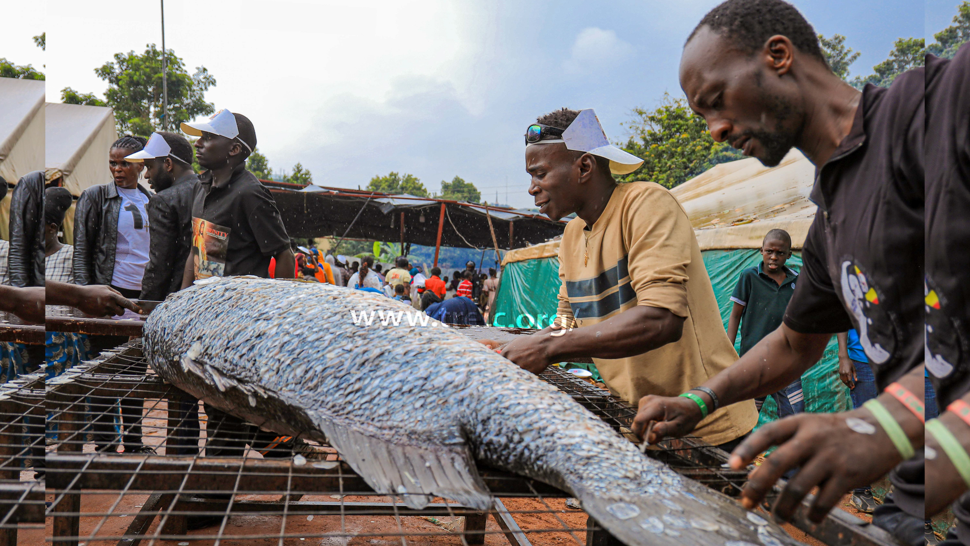 Just as Jesus Christ miraculously fed 5,000 people with only two fish, our pastor has once again brought forth a remarkable blessing.