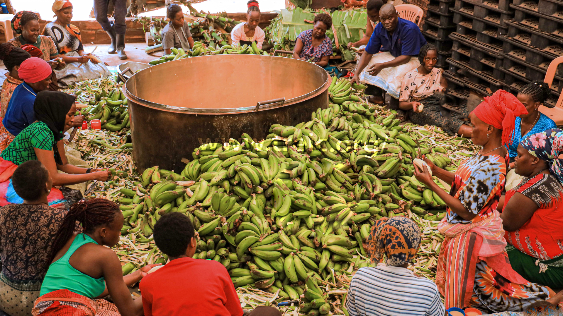At this time, we were busy preparing banana food for the 54th celebrations, as the brethren were in a festive mood.